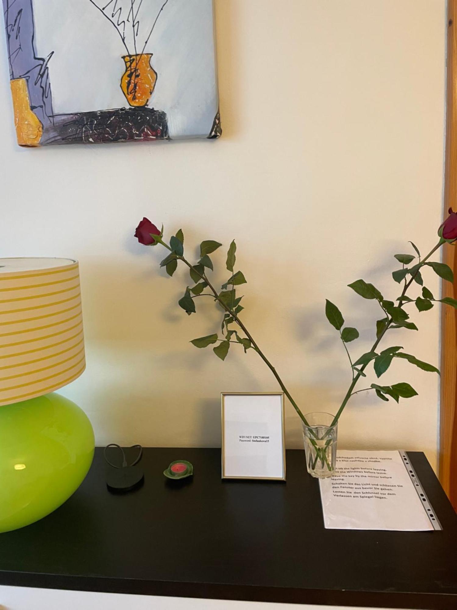 2,5 Izbovy Apartman V Ruzinove S Parkovanim Zdarma Bratislava Exteriér fotografie